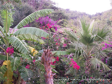 Paradise Garden Hotel, Ölüdeniz