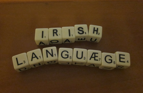 Irish Gaelic Language Learning: Month 1 Overview