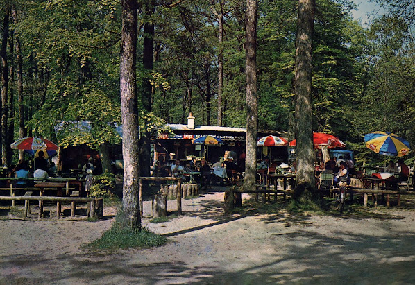 La Croix d'Augas, Fontainebleau