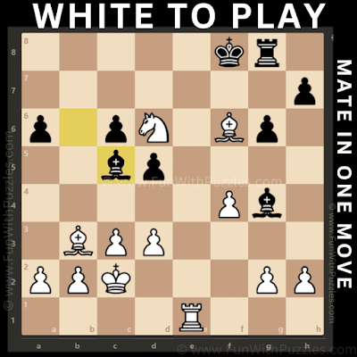 Chess Puzzle for Kids: White to Play and Checkmate in 1 Move