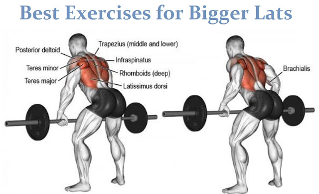 Best Exercises for Lats