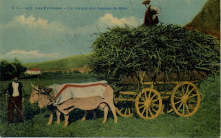 pays basque autrefois agriculture