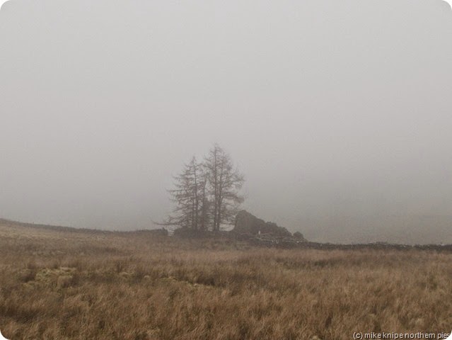 driech, y'see...