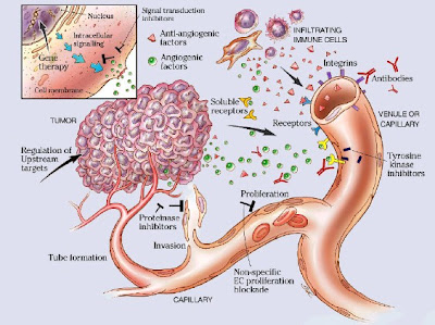 Liver Cancer Symptoms Sign Ribbon cells Horoscope Symbol Tattoos Research Zodiac Sign Ribbon Tattoos