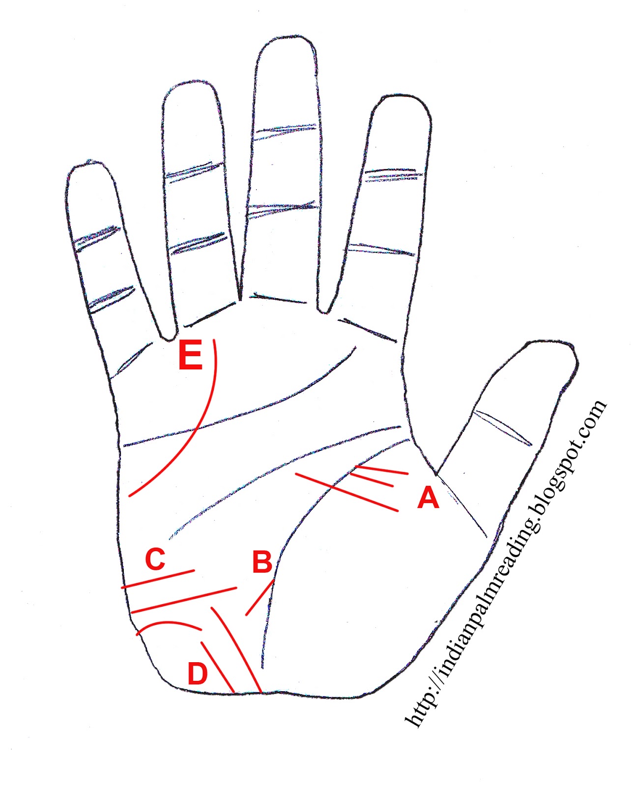 Learn About Traveling Lines With Figures In Palmistry | INDIAN ...