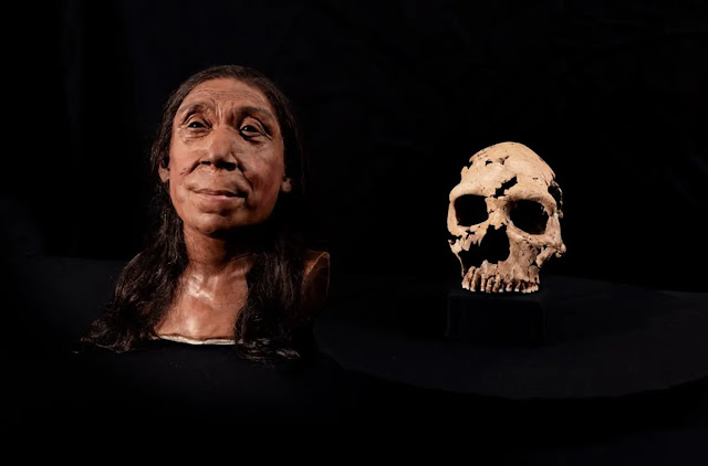 Shanidar rostro y cráneo de mujer neandertal