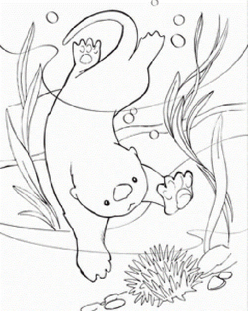 Free Printable Baby Cute Otter Colouring Pages Pdf
