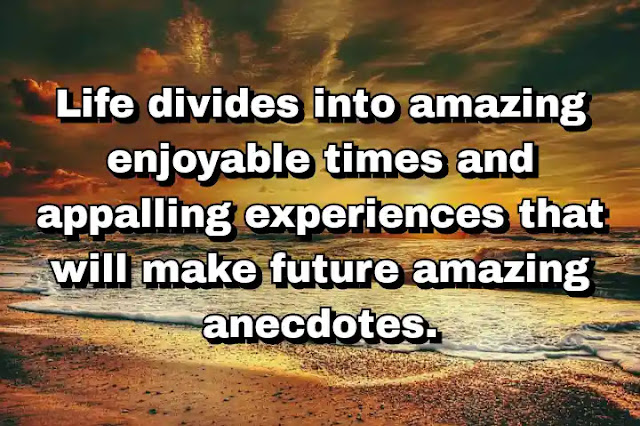"Life divides into amazing enjoyable times and appalling experiences that will make future amazing anecdotes." ~ Caitlin Moran