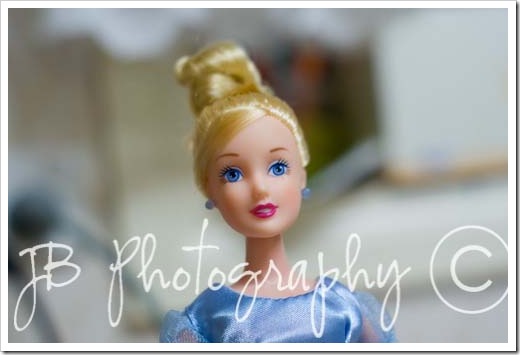 SONY DSC