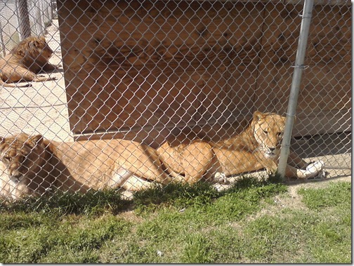 Image04022012120427