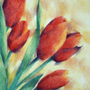 colored pencil drawing of five red tulips, copyright Rose Welty