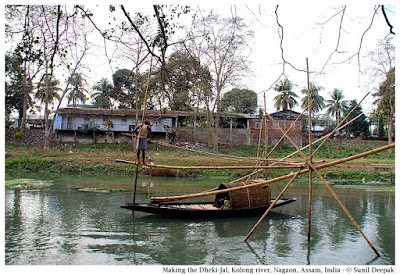 Traditional Dheki jal fishing net in Kolong river, Nagaon, Assam, India - Images by Sunil Deepak