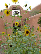 Made It to Ghost Ranch