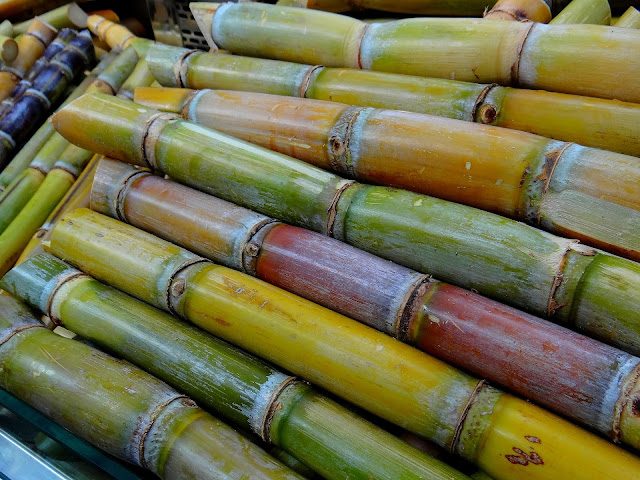 sugarcane is the natural raw material for table sugar