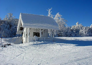 Abandoned hut