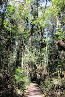 "Wilderness" in Kuranda, North Queensland