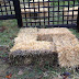 Straw Bale Gardening -messy but fun