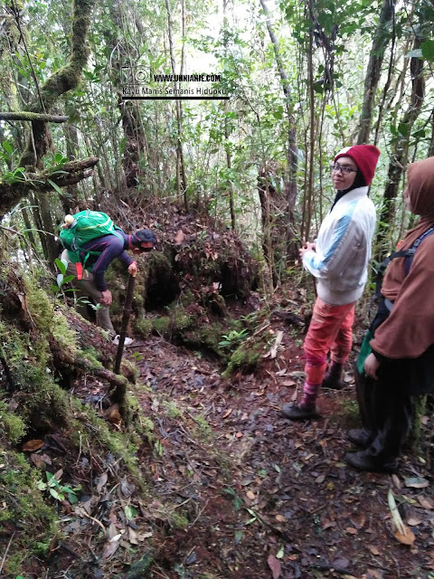 Pengalaman Mendaki Gunung Trus Madi Via Sinua Part 2