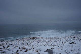 冬　アイスランド　海沿い　東南部　道路　絶景　景色　冬