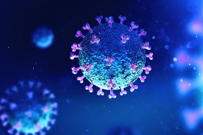 Cientistas franceses tiveram que levar a temperatura quase ao ponto de ebulição para matar o coronavírus
