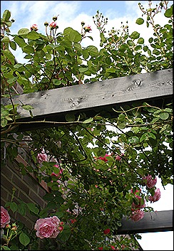 blog 1