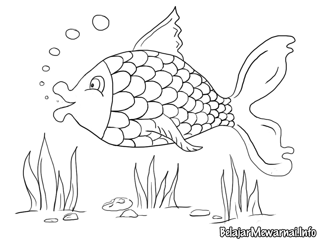 Gambar Kartun Hewan Ikan Bestkartun