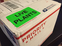 live plants priority mail