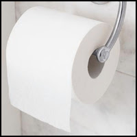 'Paper Toilet