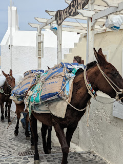 Donkey traffic in Oia Santorini.