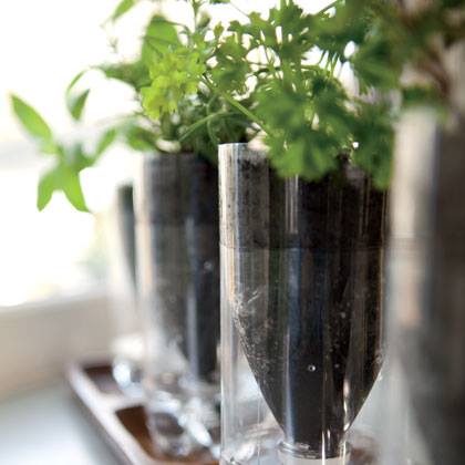 Plastic Bottle Herb Planters