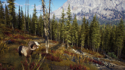 Way Of The Hunter Game Screenshot 13