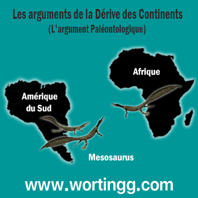 Les arguments de la Dérive des Continents - L'argument Pétrographique