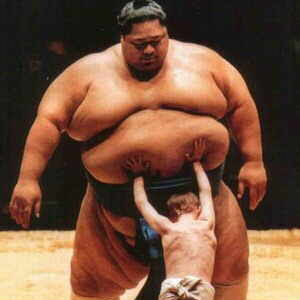 Meilleure collection luchador de sumo bebe 317642-Luchador de sumo bebe