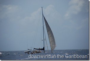 DSC_1040 DSC_1040