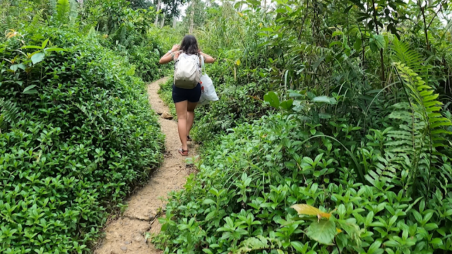 girl backpacker walking on a lovely path along nature greeneries