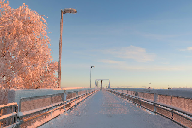 Lens and Cover Blog | Winter Day on the Biking Bridge