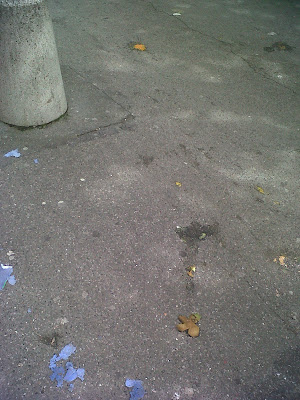 Image Éclats d'oeufs, restes de boîtes d'oeufs et kiwi écrasé dans la rue en face du lycée Pierre de Fermat