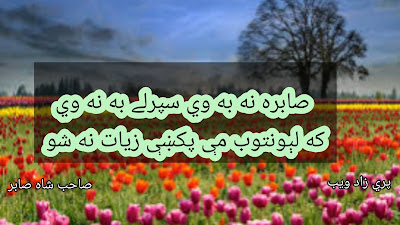 تصویر