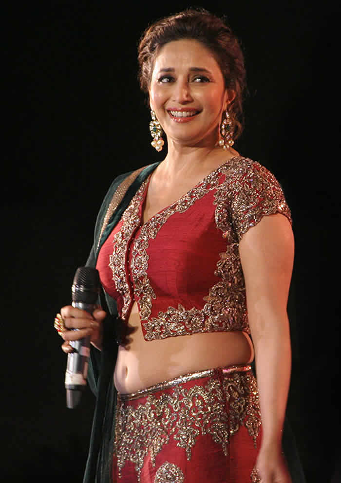 Bollywood Actress Madhuri Dixit Looking Hot Pics