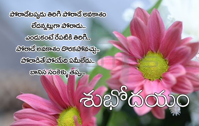 Happy Wednesday Images Telugu Good Morning Greetings Pictures Onlne Best Wishes Messages Telugu Quotes Images Free Download