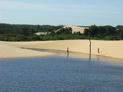 Delta do Rio Parnaiba Piauí Brasil