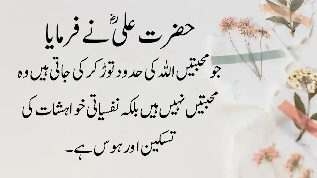 20+ Best Quotes Of Hazrat ALI (R.A)