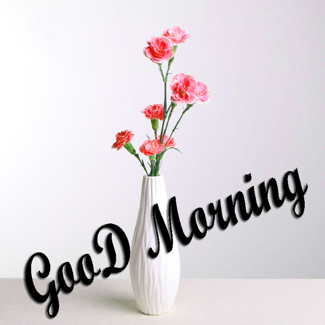 amazing good morning images hd