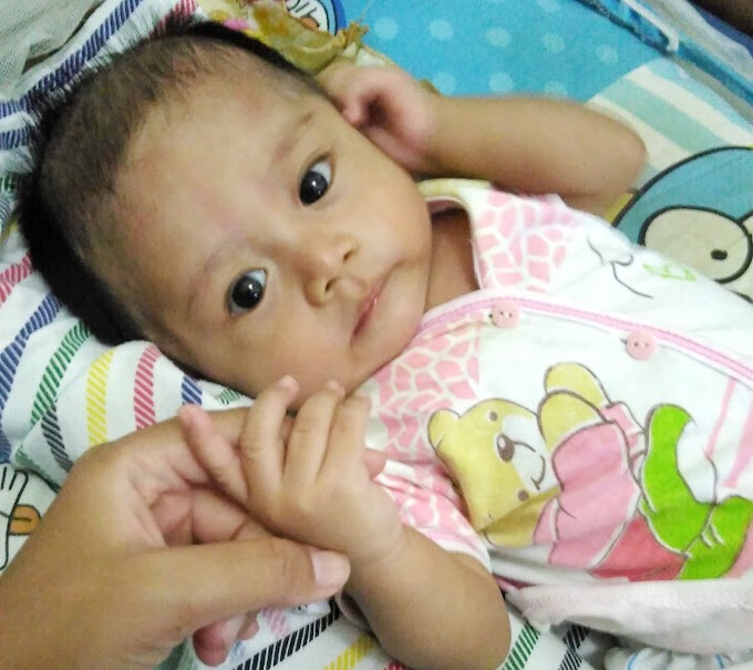Daftar Alat Makan Bayi Ini Harus Anda Beli