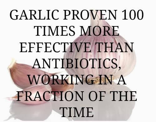 Garlic Proven 100 Times More Effective Than Antibiotics