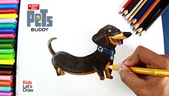 Como dibujar a conejo Buddy (Vida Secreta de tus Mascotas) - How to draw Buddy (The Secret Life of Pets)
