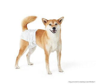 Litters & Housebreaking Products- Dog Diapers