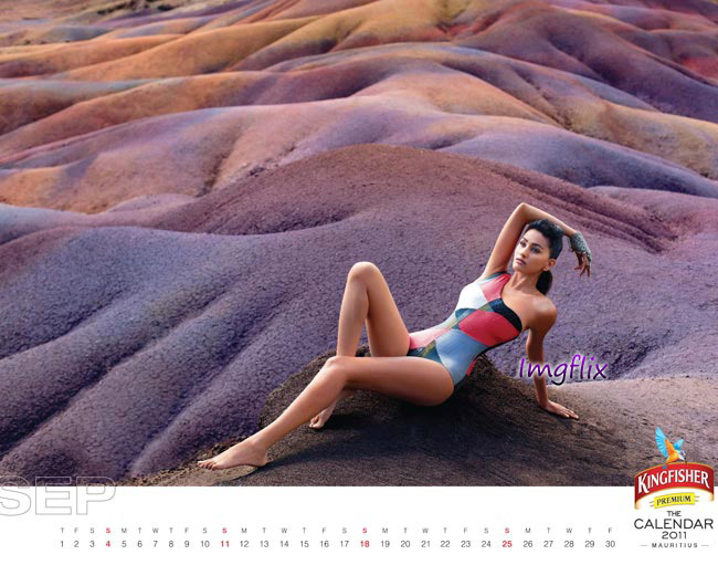 january 2010 calendar wallpaper. january 2010 calendar