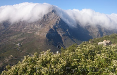 Table Mountain from Lion's Head