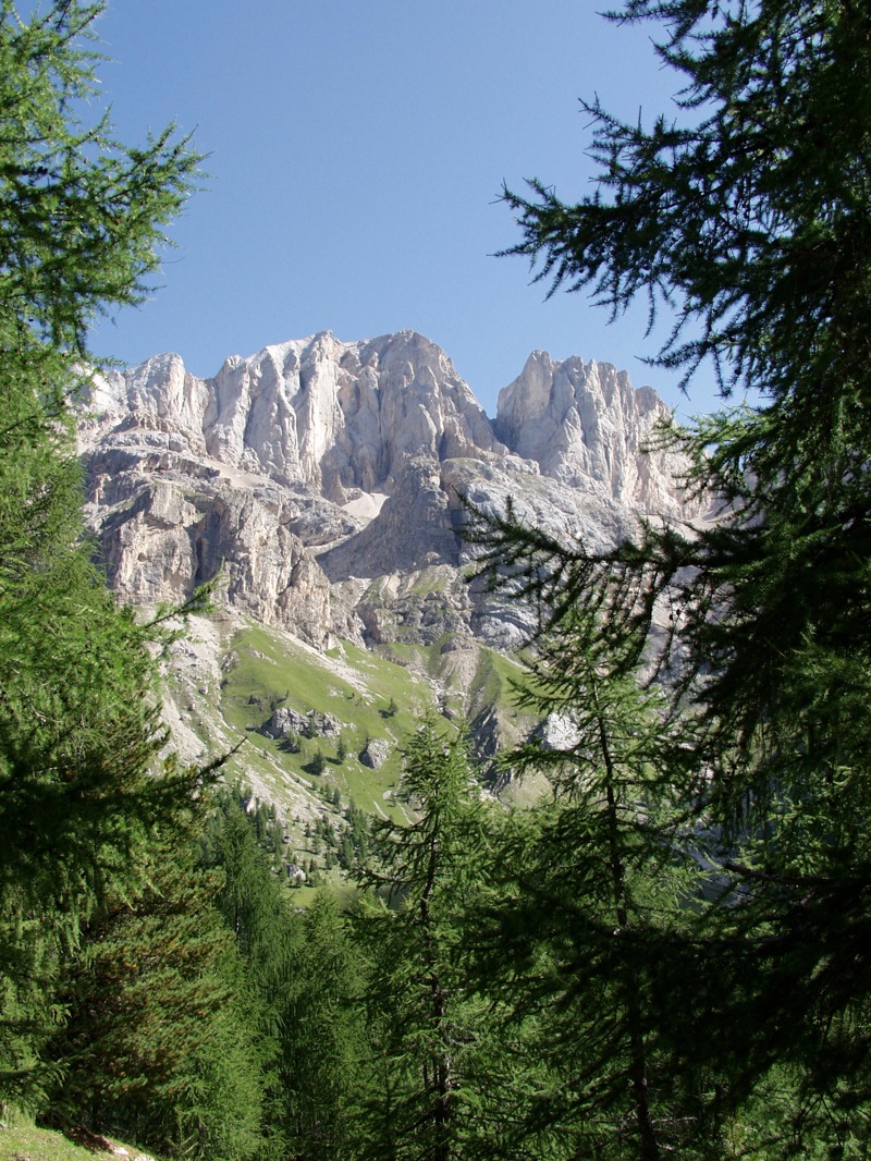 P8163669